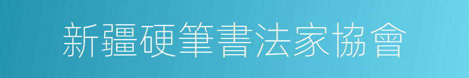 新疆硬筆書法家協會的同義詞