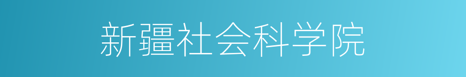 新疆社会科学院的同义词