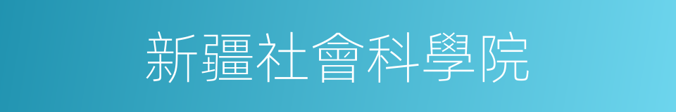 新疆社會科學院的同義詞