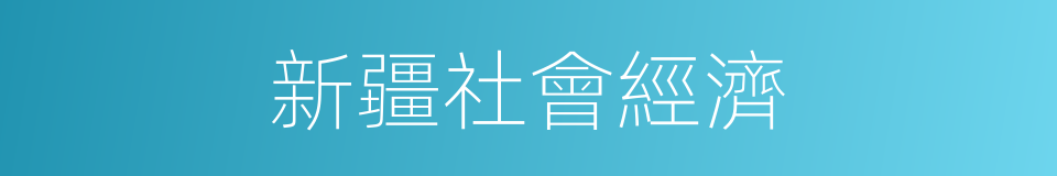 新疆社會經濟的同義詞