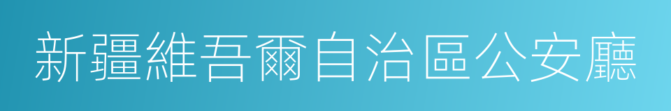 新疆維吾爾自治區公安廳的同義詞