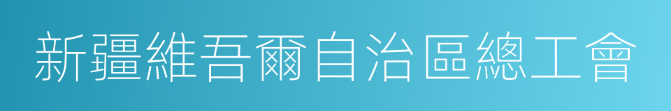 新疆維吾爾自治區總工會的同義詞