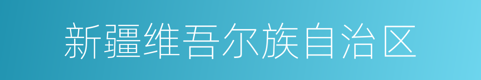 新疆维吾尔族自治区的同义词