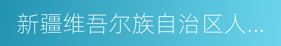 新疆维吾尔族自治区人民政府的同义词