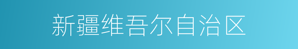 新疆维吾尔自治区的意思