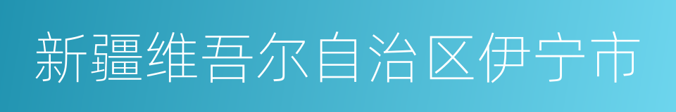 新疆维吾尔自治区伊宁市的同义词