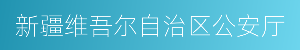 新疆维吾尔自治区公安厅的同义词