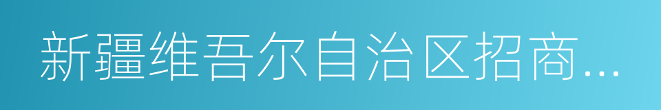 新疆维吾尔自治区招商发展局的同义词