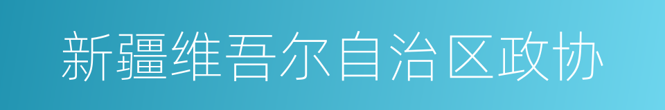 新疆维吾尔自治区政协的同义词