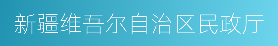 新疆维吾尔自治区民政厅的同义词