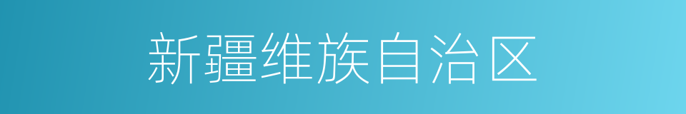 新疆维族自治区的同义词