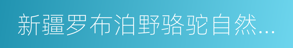 新疆罗布泊野骆驼自然保护区的同义词