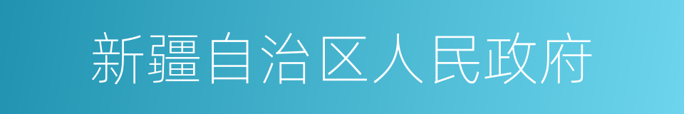 新疆自治区人民政府的同义词