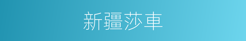 新疆莎車的同義詞