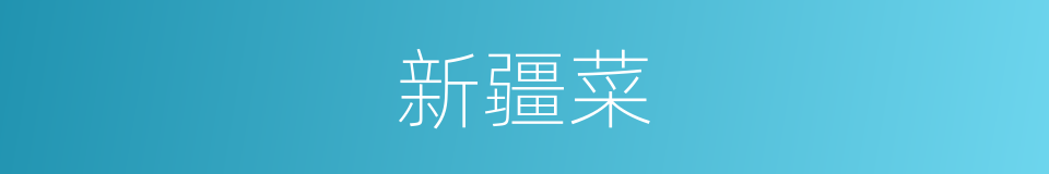 新疆菜的同义词