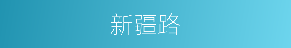 新疆路的同义词