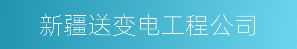 新疆送变电工程公司的同义词