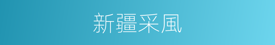 新疆采風的同義詞