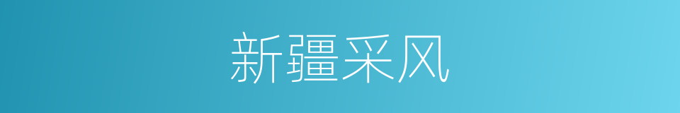 新疆采风的同义词