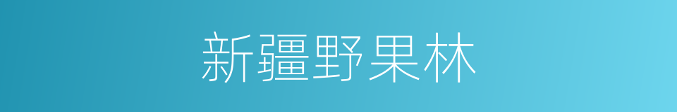 新疆野果林的同义词