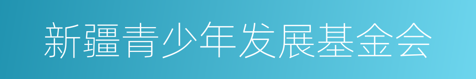 新疆青少年发展基金会的同义词