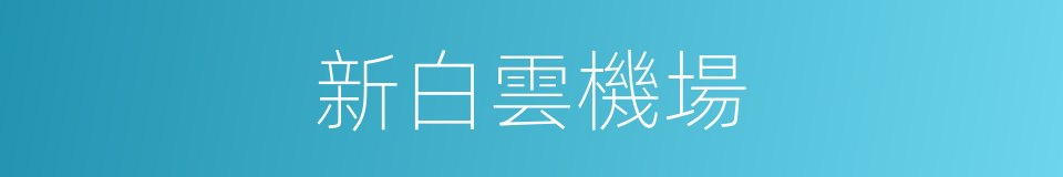 新白雲機場的同義詞