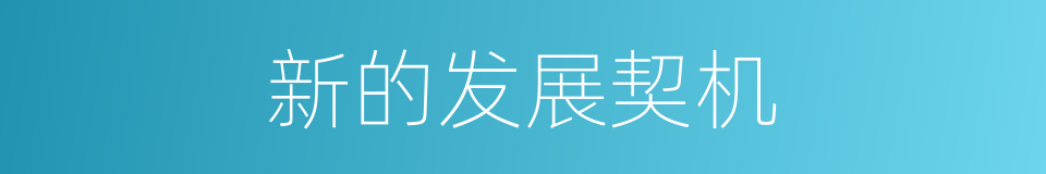 新的发展契机的同义词