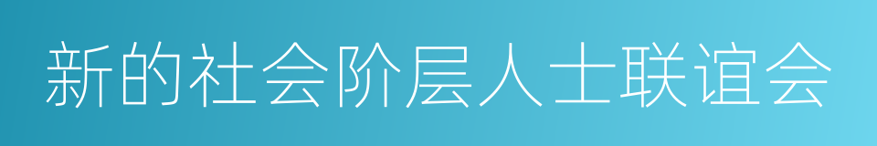 新的社会阶层人士联谊会的同义词