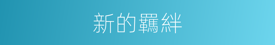 新的羈絆的同義詞