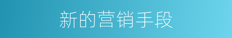 新的营销手段的同义词