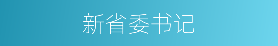 新省委书记的同义词