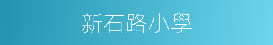新石路小學的同義詞