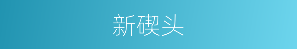 新碶头的同义词