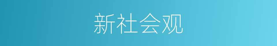 新社会观的同义词