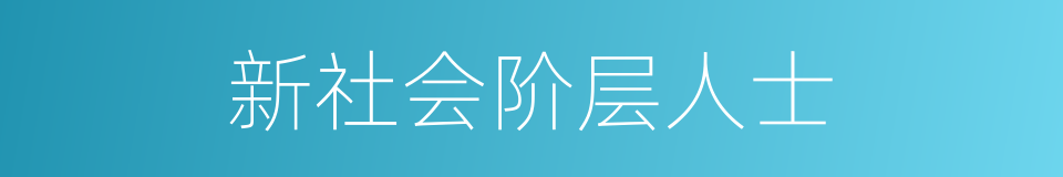 新社会阶层人士的同义词