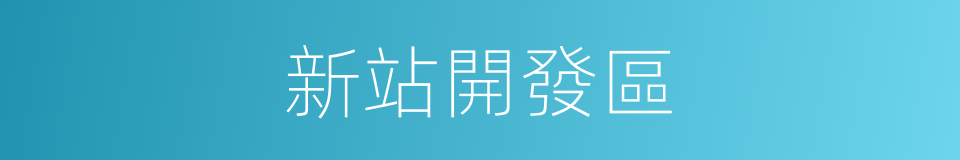 新站開發區的同義詞