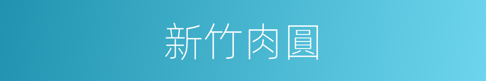 新竹肉圓的同義詞