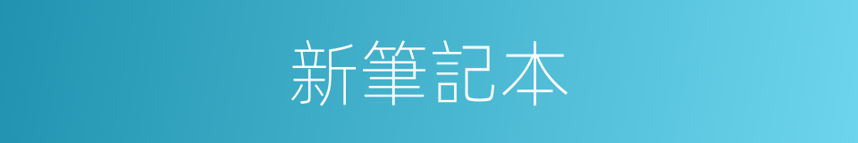 新筆記本的同義詞