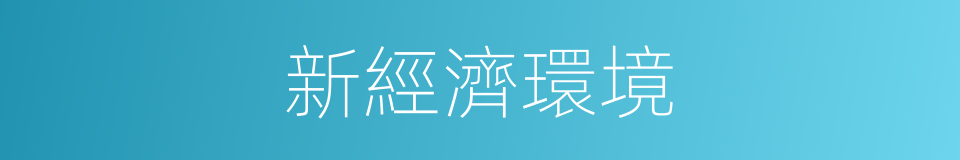 新經濟環境的同義詞