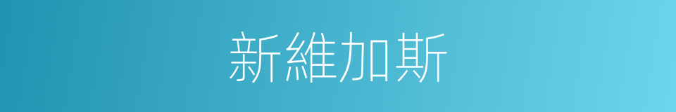 新維加斯的同義詞