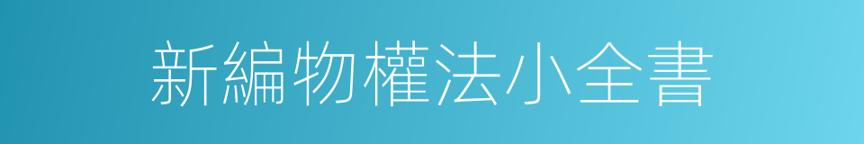 新編物權法小全書的同義詞