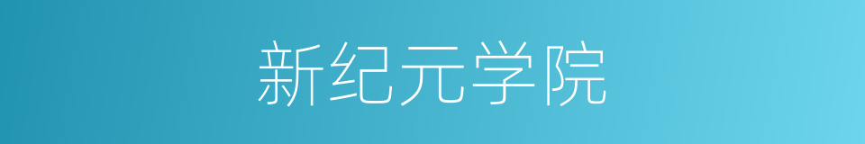 新纪元学院的同义词