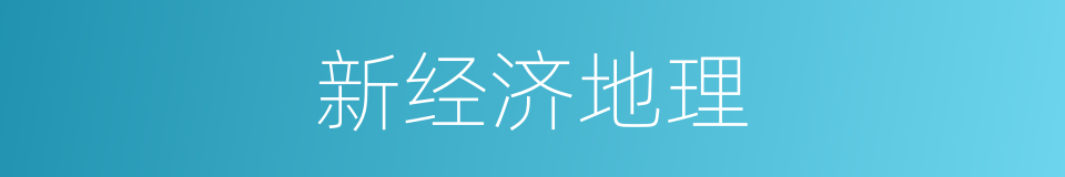 新经济地理的同义词