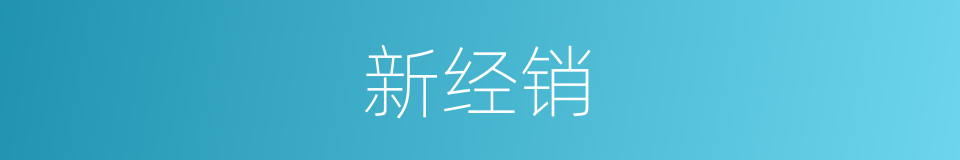 新经销的同义词