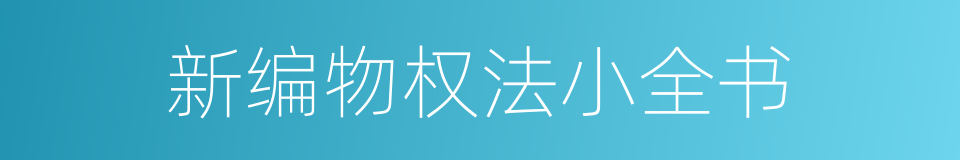 新编物权法小全书的同义词