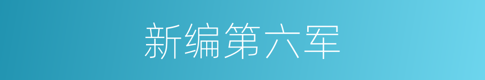 新编第六军的同义词