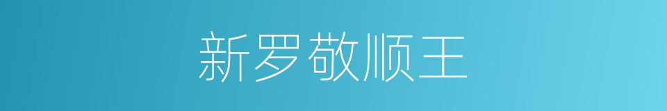 新罗敬顺王的同义词
