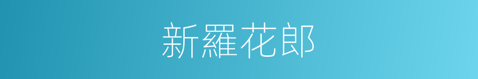 新羅花郎的意思
