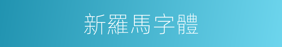 新羅馬字體的同義詞