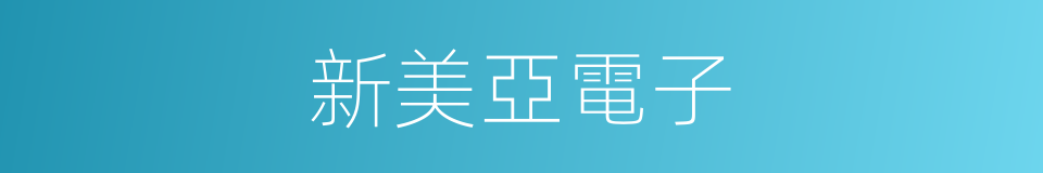 新美亞電子的同義詞